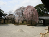 高台寺